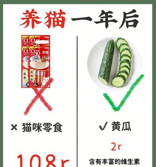 如何预防和治疗宠物犬VC缺乏症（以宠物为主，从饮食、锻炼等方面全面预防宠物犬VC缺乏症）