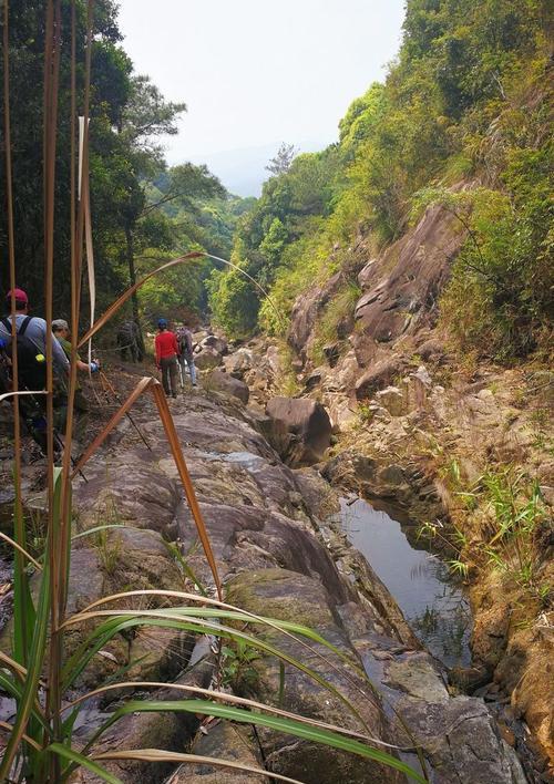 宠物训练的跳跃、匍匐、上下登降法（教会宠物灵活运动，让它们更健康快乐）