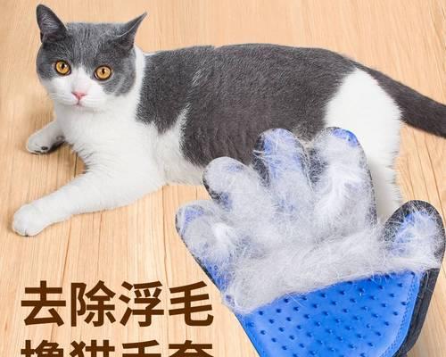 为什么要经常给猫咪梳理毛发？（探究猫咪毛发护理的重要性及正确方法）