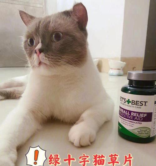 为什么养猫咪之后要养猫草？（探讨猫草的重要性和益处）