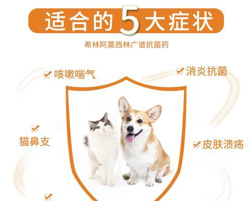 预防狗狗犬窝咳，让宠物健康快乐生活（防范狗狗犬窝咳，从日常护理开始）