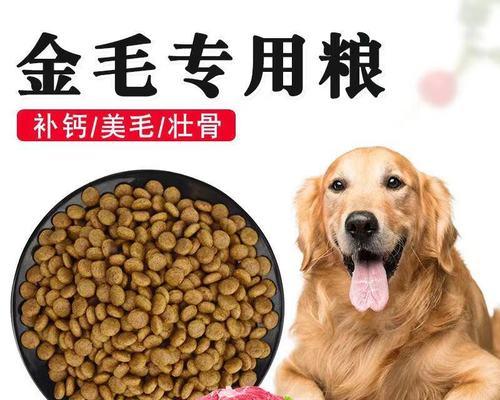 宠物金毛犬过量补钙的危害（宠物养护必读！如何避免金毛犬补钙过多？）