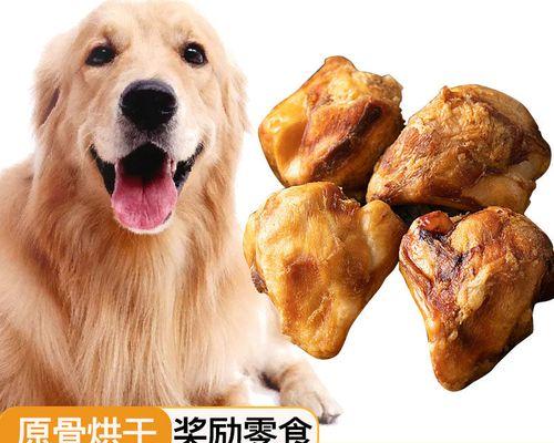 金毛犬磨牙全攻略（让你的宠物远离磨牙问题，从小护齿养护）