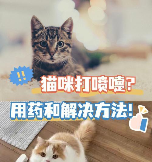 探秘猫咪打喷嚏的原因（揭开猫咪打喷嚏背后的真相，从宠物健康的角度考虑）