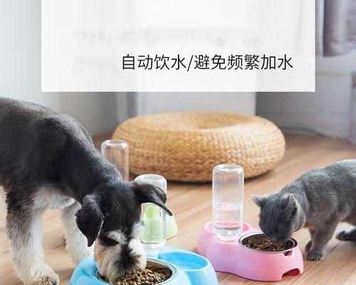 如何选择适合泰迪犬的食盆材质（宠物生活从细节做起，食盆材质影响你的宠物健康）