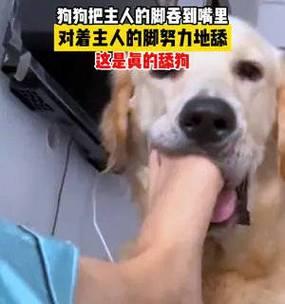 为什么狗狗喜欢舔脚丫子？（探究狗狗舔脚的原因及可能的健康问题）