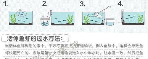 怪蝴蝶鱼饲养全攻略（如何养活你的怪蝴蝶鱼，关注品种特点，科学合理饲养）