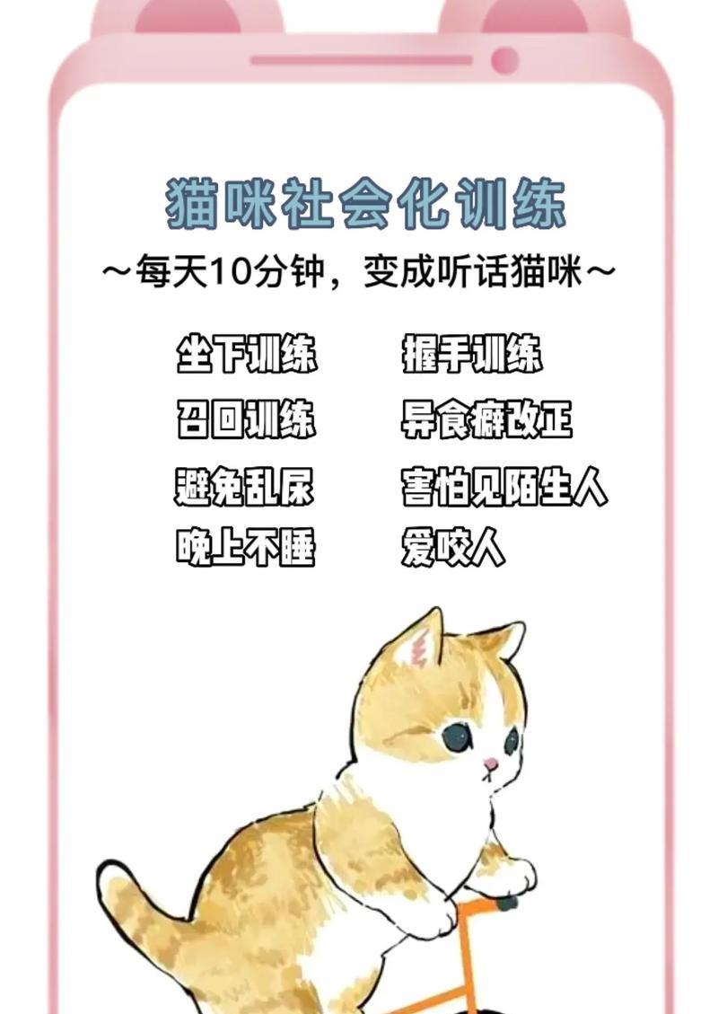 训练捣蛋猫咪的有效方法（培养猫咪的良好行为习惯，让生活更和谐）