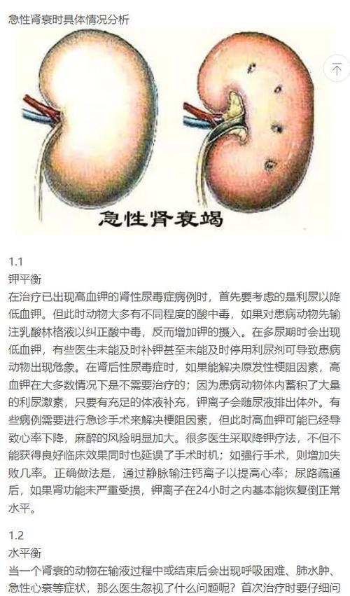 宠物得了尿毒症怎么办？（治疗尿毒症的方法和注意事项）