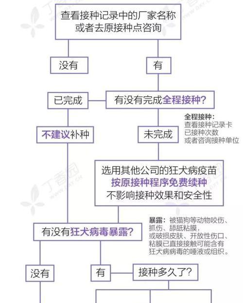 治疗吉娃娃皮肤病的有效方法（让宠物健康快乐的关键）