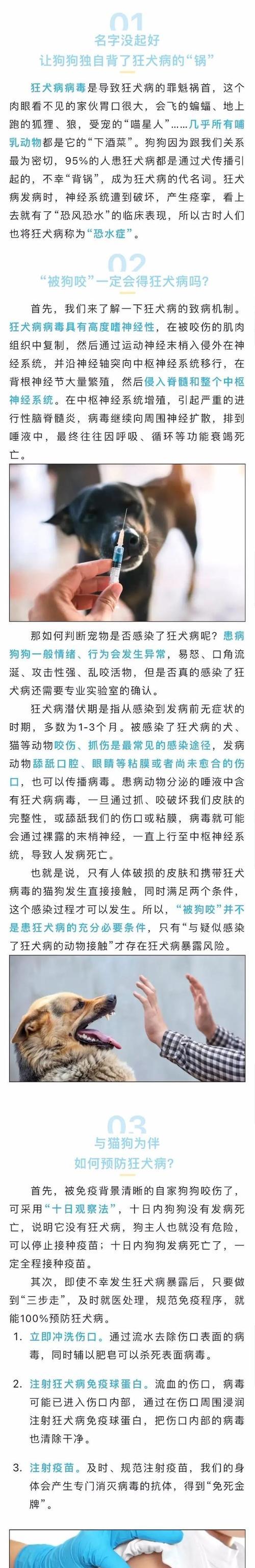 散步时如何避免哈士奇养成坏习惯（宠物爱好者必看！哈士奇散步技巧）