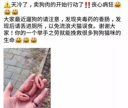 去除腊肠犬身上的臭味，让宠物更加清新自然（教你如何有效去除腊肠犬身上的异味）