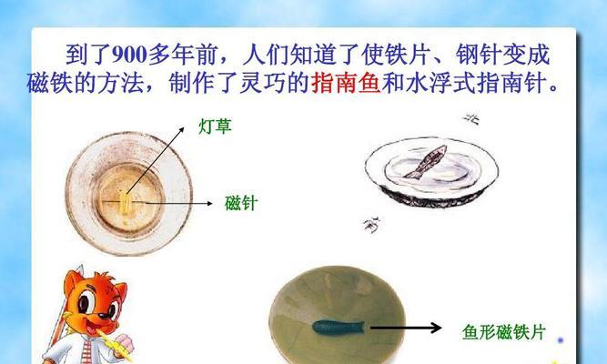 四带马夫鱼的饲养方法（养殖技巧与注意事项）