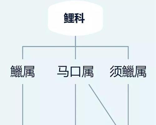 如何正确饲养条纹鹎（条纹鹎养殖技巧及注意事项）