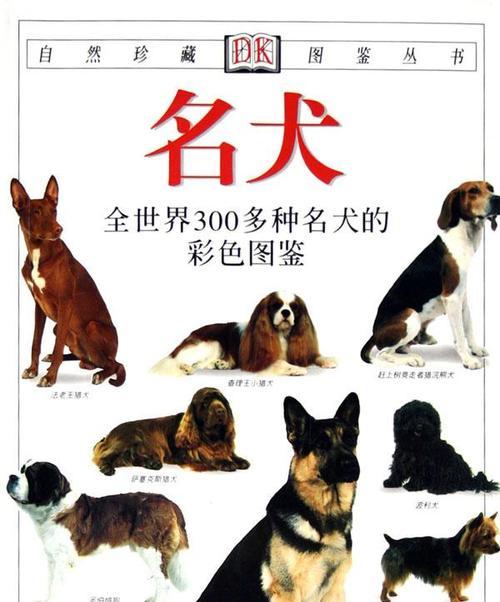 骑士查理王小猎犬——一位优雅的宠物贵族（忠诚、温顺、智慧——探寻它的独特魅力）