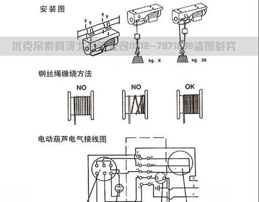 蒙罗维亚吊的养护（了解蒙罗维亚吊的基本知识，打造健康的生长环境）