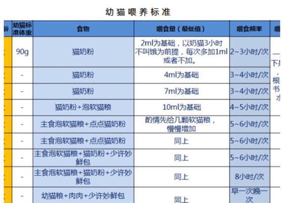 如何正确饲养标准金吉拉兔（宠爱你的毛茸茸小伙伴，让它健康成长）