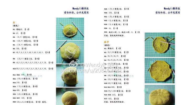 粉红圈锯背龟的饲养方法（打造健康幸福的宠物生活）