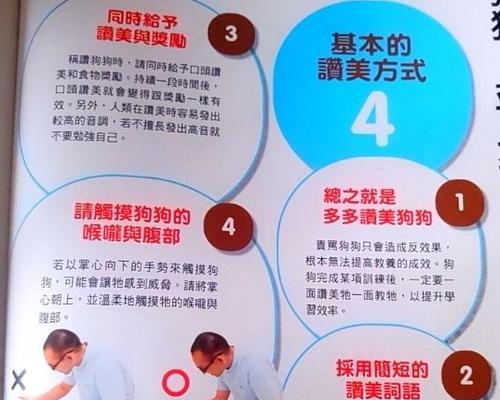 比熊犬定点排便训练指南（以宠物为主，让你的比熊犬养成良好的排便习惯）