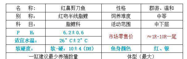 红肚凤凰鱼的饲养方法（了解宠物鱼的生活习性，打造舒适的养殖环境）