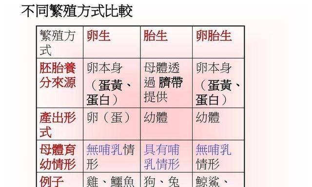 如何科学养护银鲨（全面了解银鲨的饲养方法，让它们健康成长）