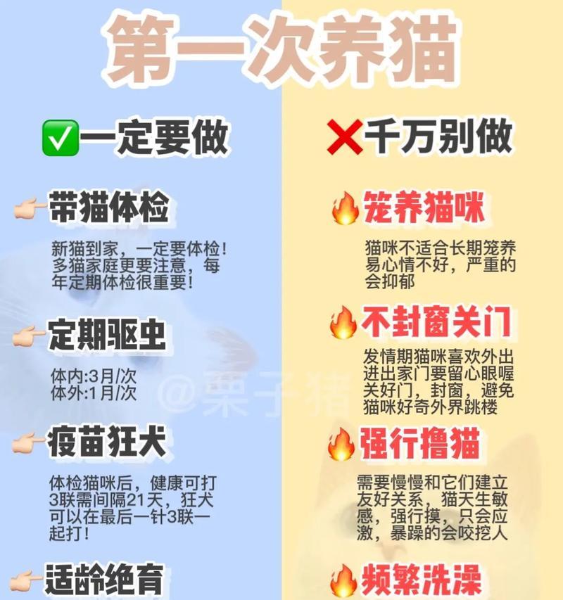 英国猎狐犬的饲养方法（了解这个优秀的狩猎犬种，让你成为合格的主人）