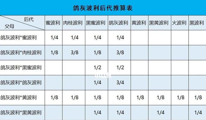 西施熊的饲养技巧（了解如何给西施熊提供最佳的生活环境和饮食）