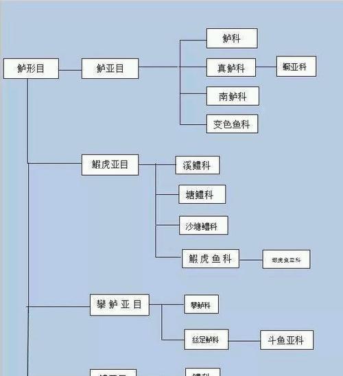 太平洋天狗吊的饲养全攻略（如何正确饲养太平洋天狗吊？——太平洋天狗吊、饲养方法）