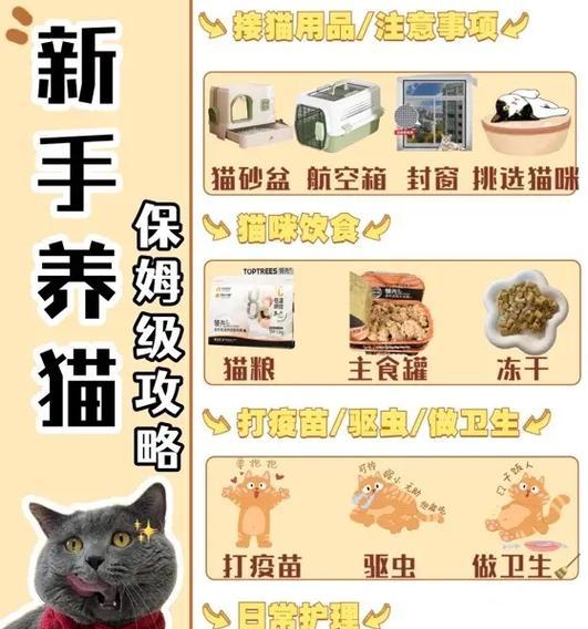 黄金缎毛天竺鼠的饲养方法（了解如何为你的宠物提供最佳生活条件）