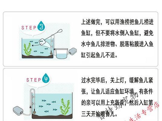 眼斑鲷的饲养方法（打造健康、美丽的眼斑鲷水族箱）