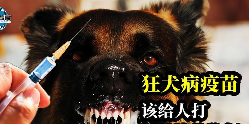 了解狂犬病，保护你的宠物和你自己（了解狂犬病，保护你的宠物和你自己）