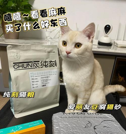 猫咪软便的治疗方法（让你的猫咪恢复健康的最佳方法）