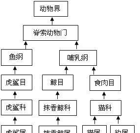 马面鲷饲养全攻略（打造完美的马面鲷饲养环境）