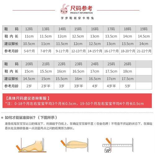 养护维兰特兔，从了解到饲养，全面指南！（一只维兰特兔的日常，从饲料到清洁不容错过）