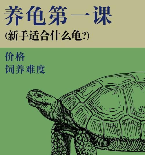 环纹地图龟的饲养方法（了解环纹地图龟的生态习性，让它在家中生活得更健康）