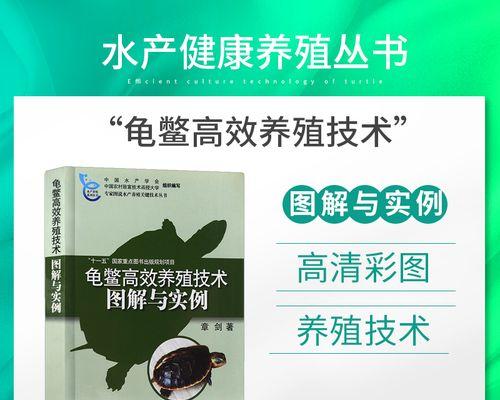 如何科学饲养大鳄龟（了解大鳄龟的饲养技巧，让它健康成长）