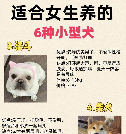 墨西哥无毛犬的饲养方法（如何养护你的无毛犬）