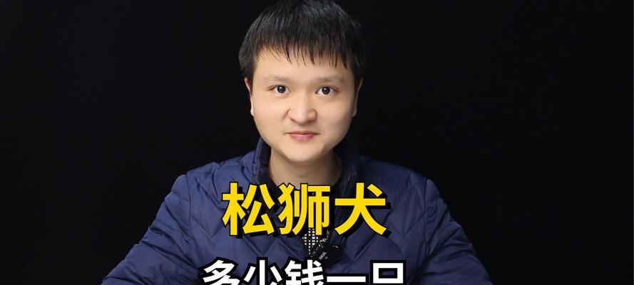 如何以简单几招饲养一只健康快乐的松狮（宠物养成的必备技巧）