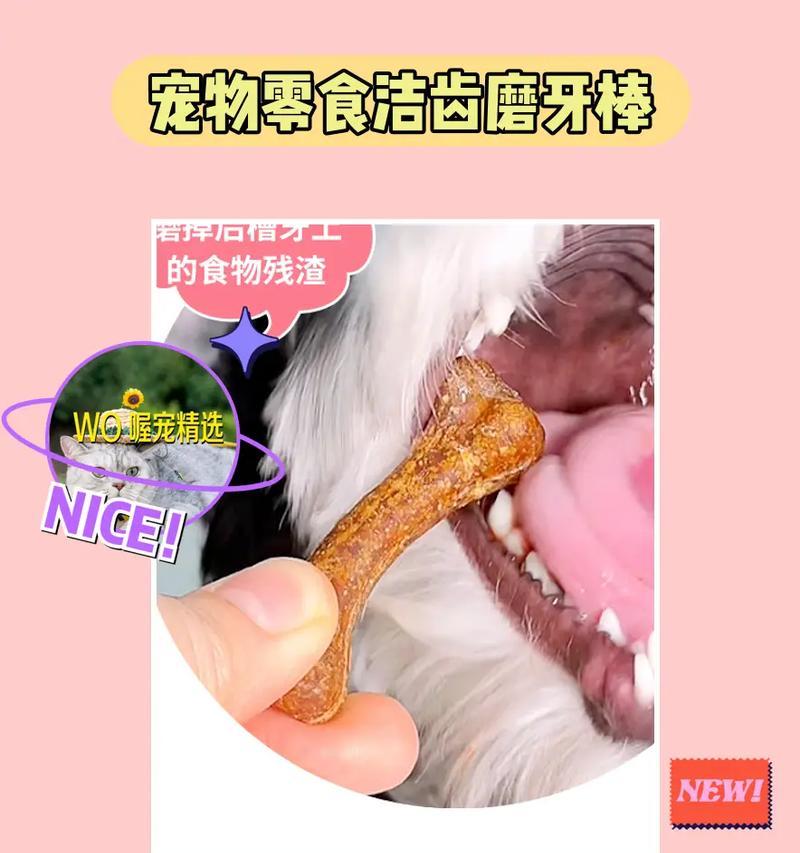 如何选择合适的狗狗磨牙棒（狗狗磨牙棒的作用及零食对牙齿的洁齿效果）