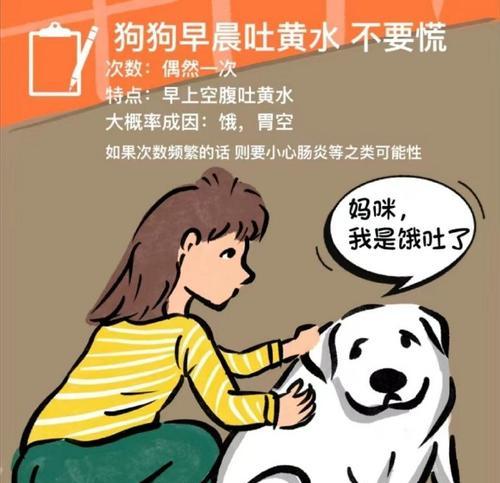 狗狗呕吐、拉稀的原因分析（为什么狗狗会呕吐、拉稀？如何应对？）