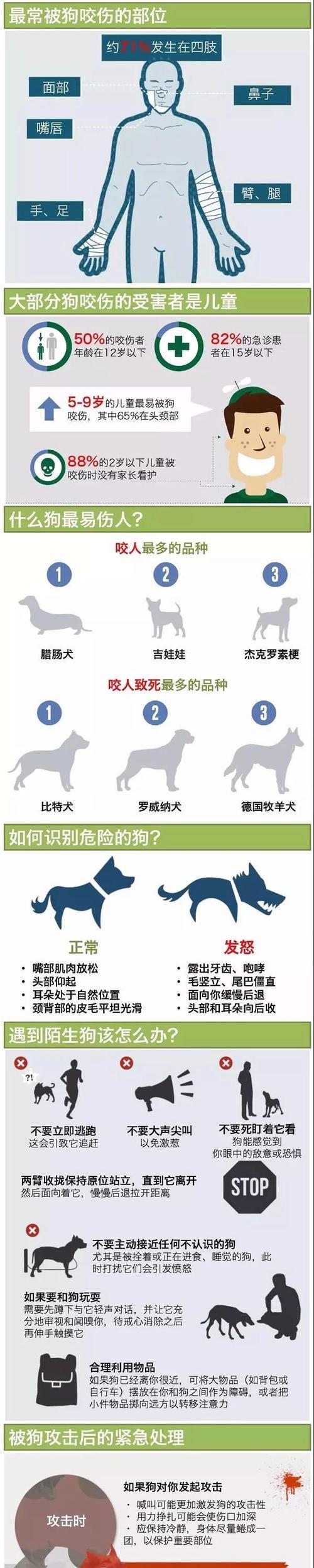 如何判断狗狗是否患有狂犬病？（6个关键观察点帮助你了解狗狗的健康状况）