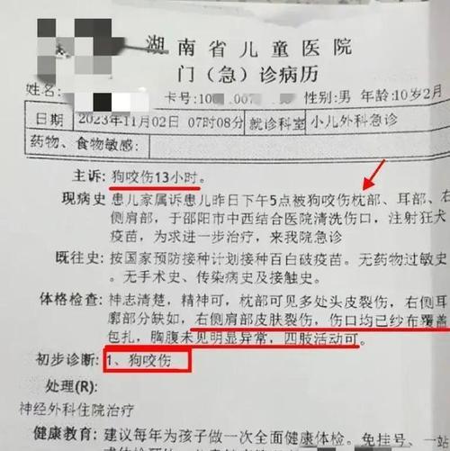 狗狗不能吃的东西清单（了解这些关键信息，避免给狗狗带来伤害）