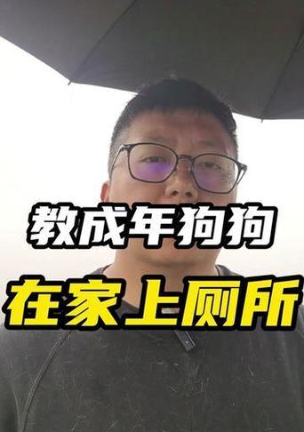 快速训练狗狗定点上厕所的方法（有效指导你的狗狗快速学会定点上厕所，让生活更便利）