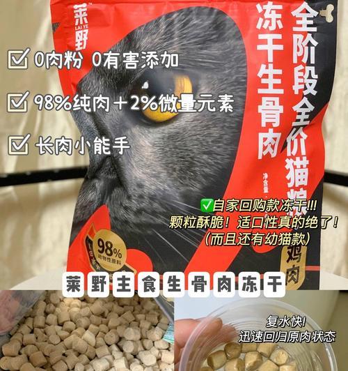 如何通过观察这6个地方来确认猫咪的健康水平（养猫小编支招，让你成为专业的猫咪健康监测师）