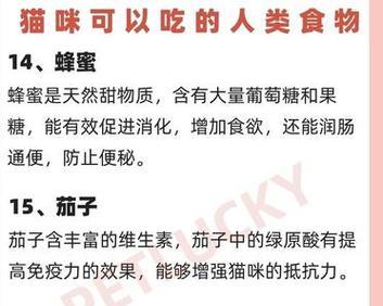 揭秘猫咪的20种人类食物大揭秘（让你的猫咪尝尝人类美食的正确方法）