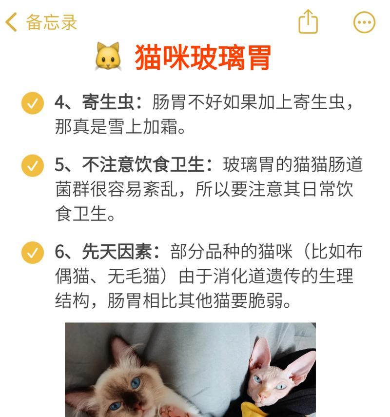 猫咪厌恶的气味，了解它们远离你的原因（为什么猫咪远离特定气味？）