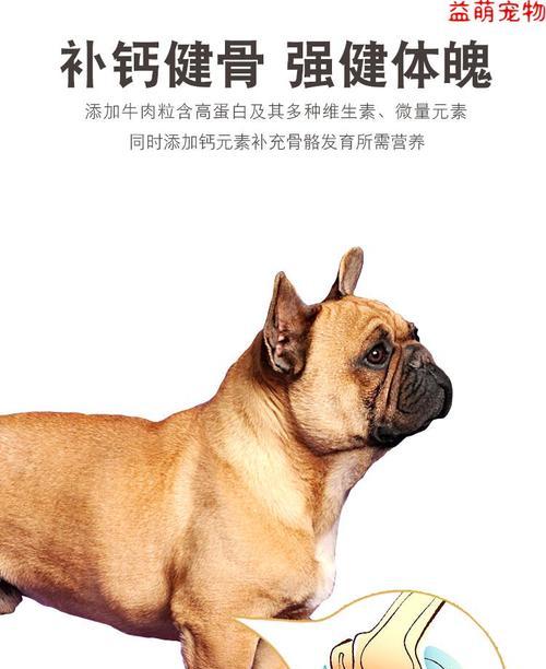 斗牛犬幼犬的饮食要点（为你的宠物选择适合的食物）