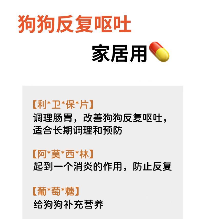 狗子呕吐的原因与处理方法（了解狗子呕吐的常见原因，有效处理方法帮助你的宠物恢复健康）
