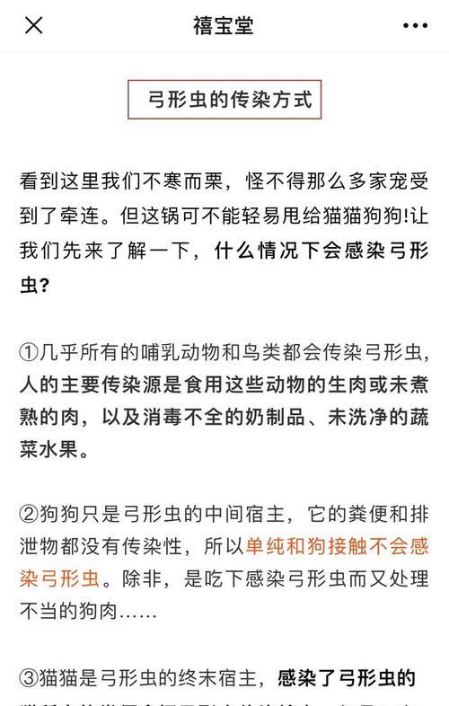 狗狗弓形虫感染的判断与预防（流产现象及相关症状分析，宠物主人必读！）