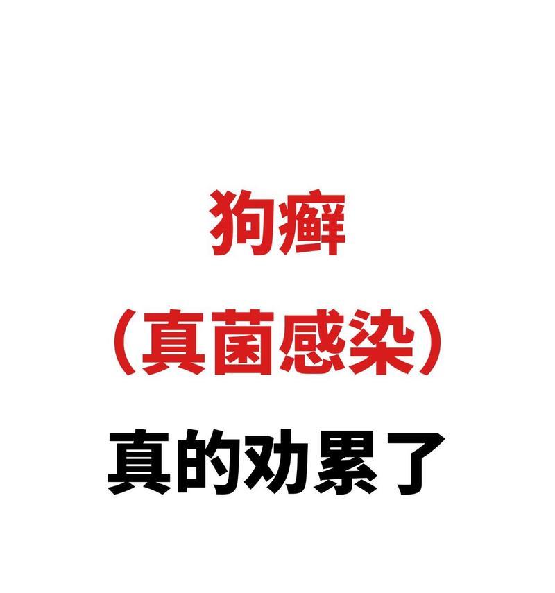 治疗泰迪犬真菌皮肤病的有效方法（关键注意事项及治疗注意事项）